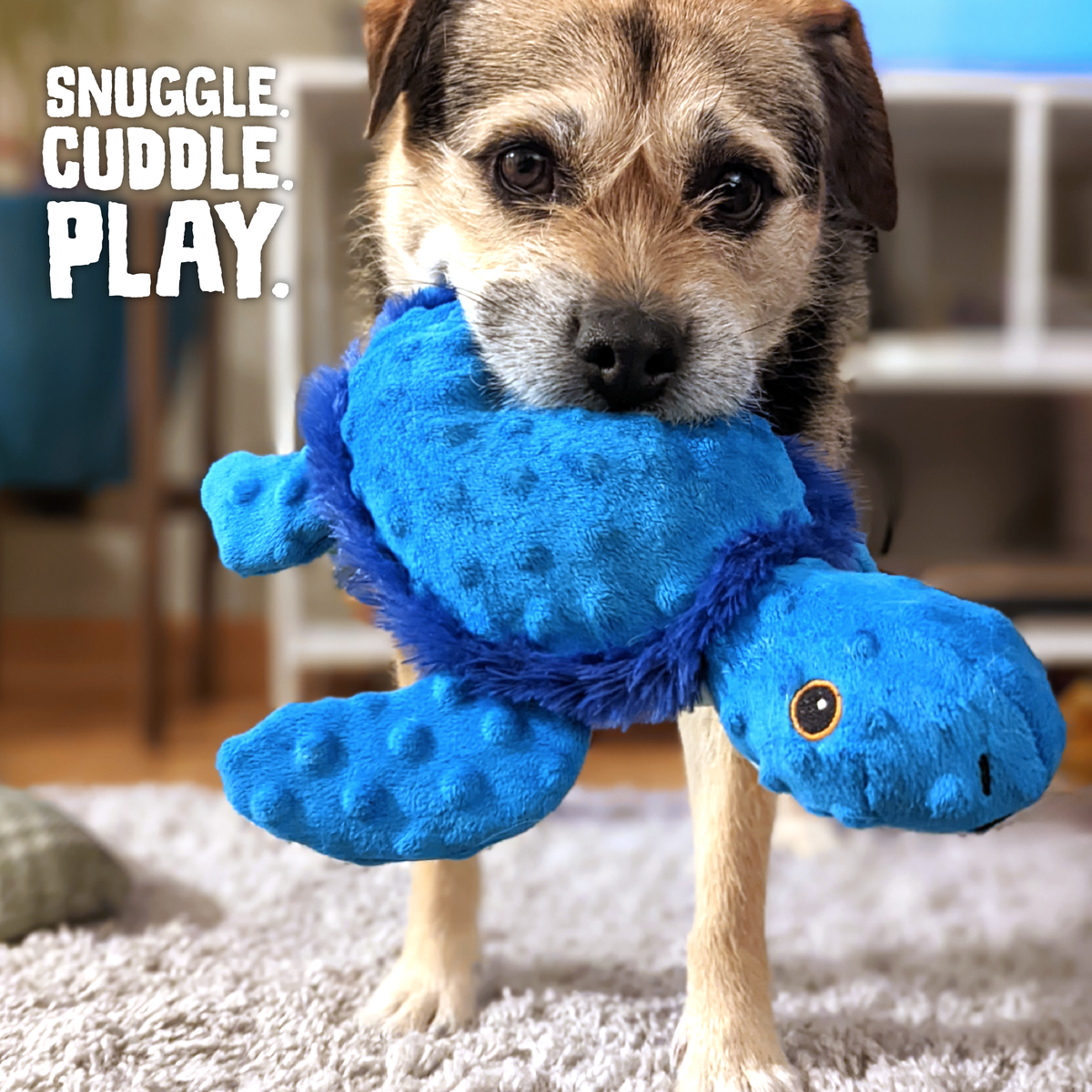 Juguete chillón para perros de peluche de la tortuga Tucker