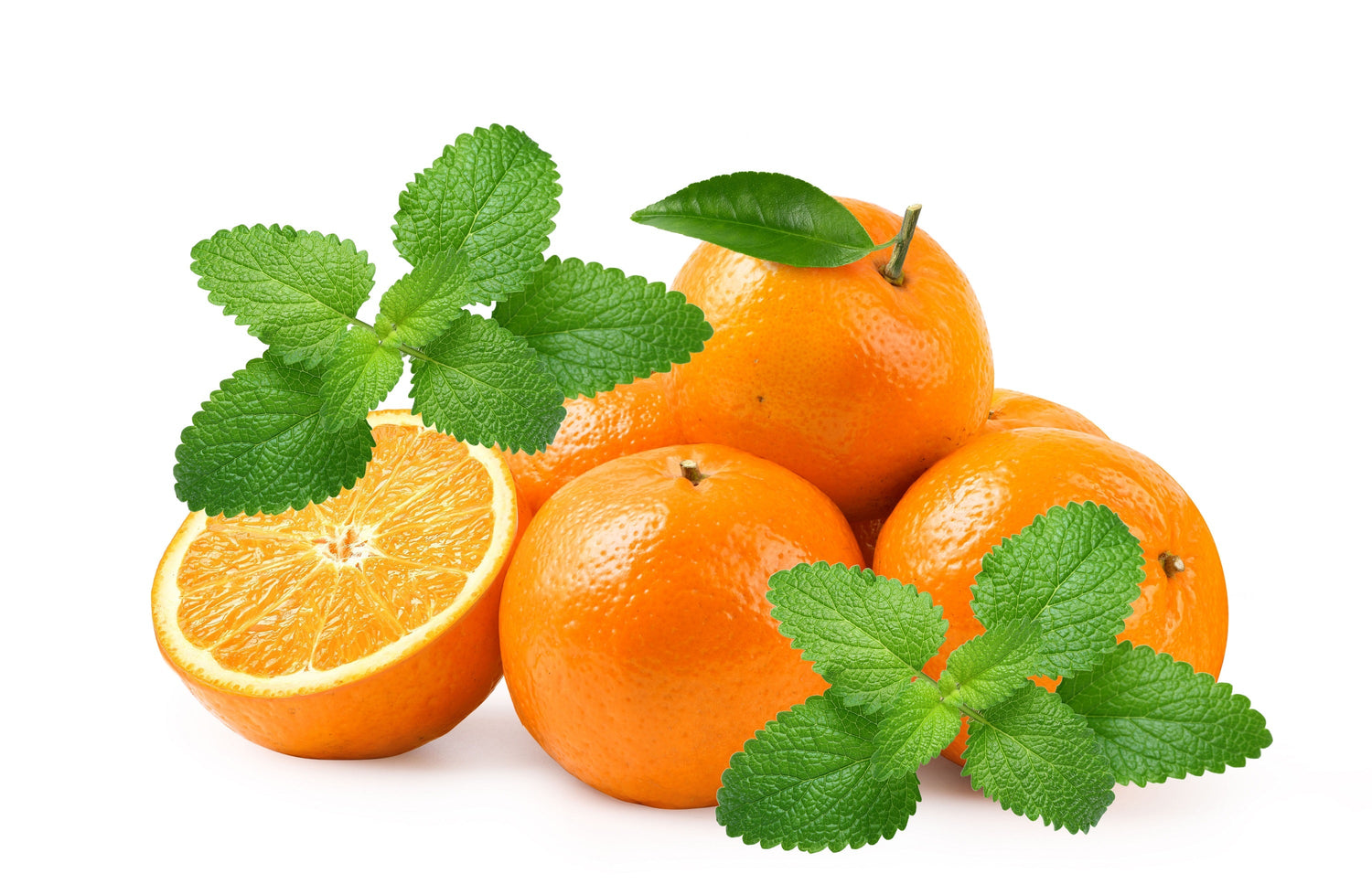 25 Naranja BÁLSAMO DE MANDARINA Mandarina Bálsamo de limón Semillas de hierbas Melissa Officinalis