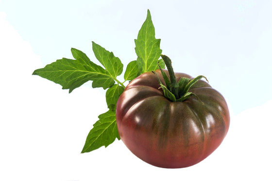 50 TOMATE RAYAS DE CHOCOLATE Marrón con Semillas de Verduras de Frutas Lycopersicon Verdes