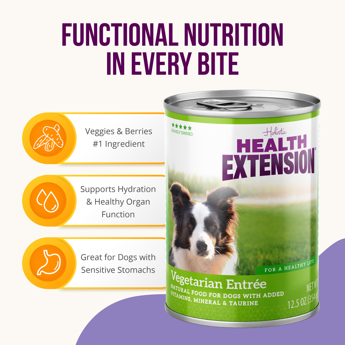 Alimento húmedo para perros Health Extension Vegetarian Entrée