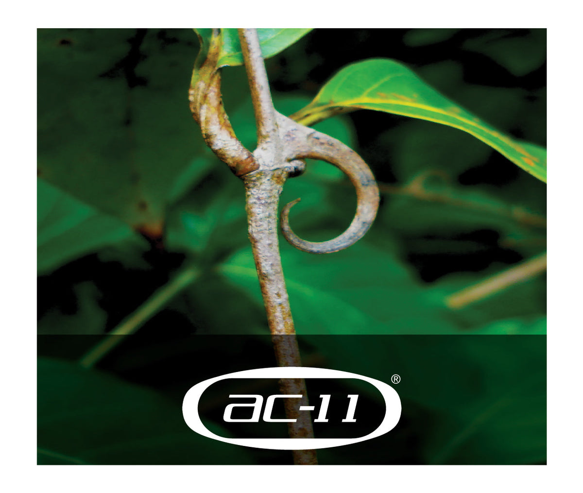 Healthycells AC-11 DNA Repair Supplement – 30 Capsules