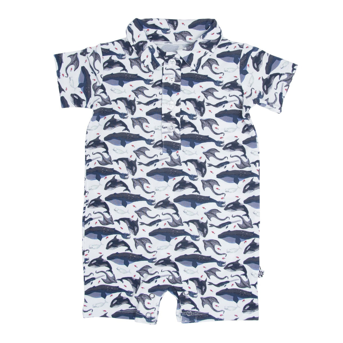 Mono polo de ballena con criaturas de aguas profundas