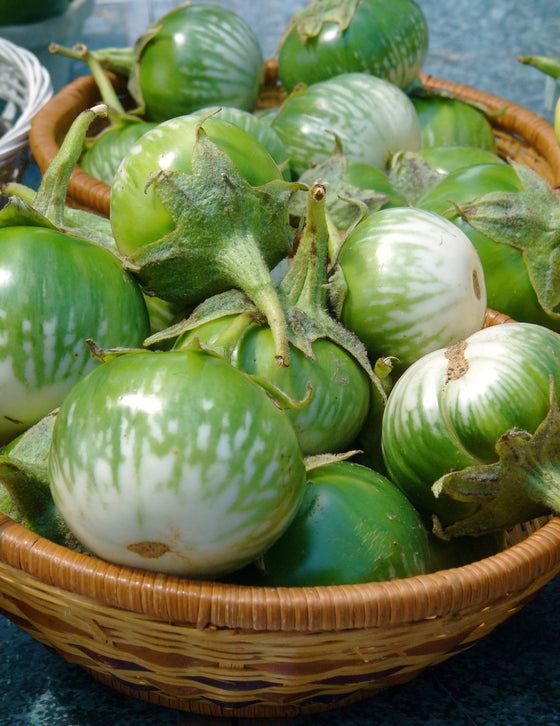 10 semillas de berenjena Kermit, verde, blanca, tailandesa, Solanum melongena, fruta vegetal