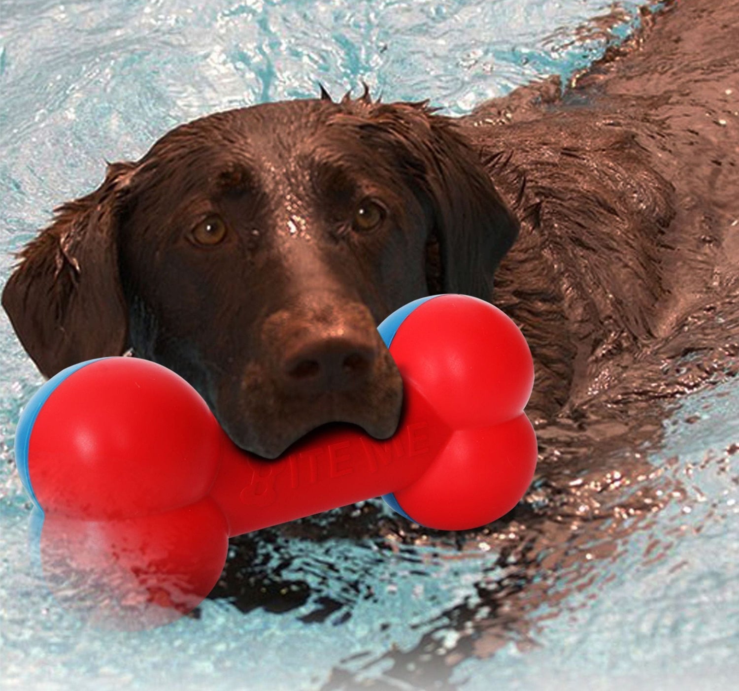 Pet Life Juguete masticable y para lanzar duradero con forma de hueso
