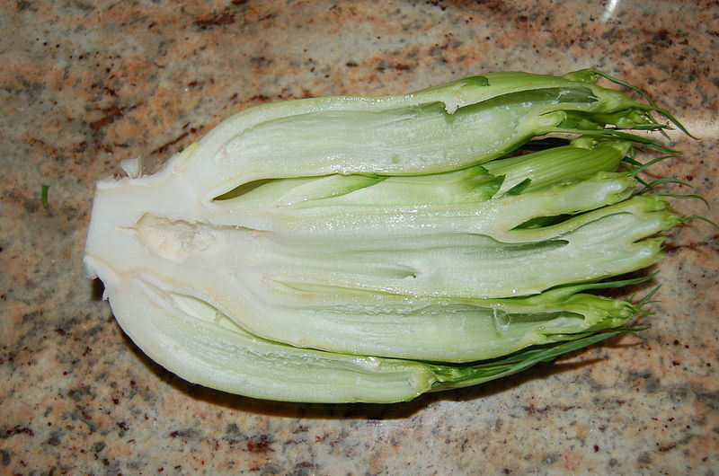 250 Semillas Vegetales de Achicoria CICORIA CATALOGNA Puntarelle Chicorium