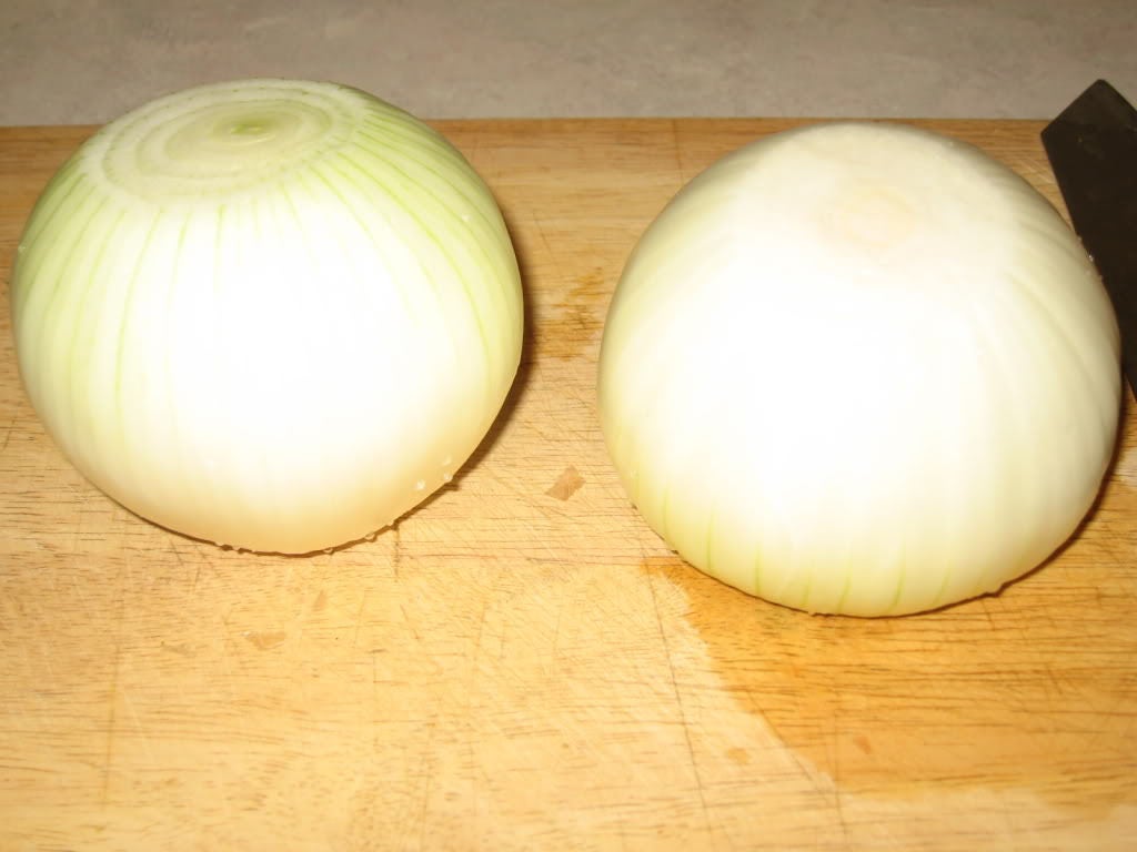 250 Semillas de cebolla eclipse, Allium cepa blanca dulce