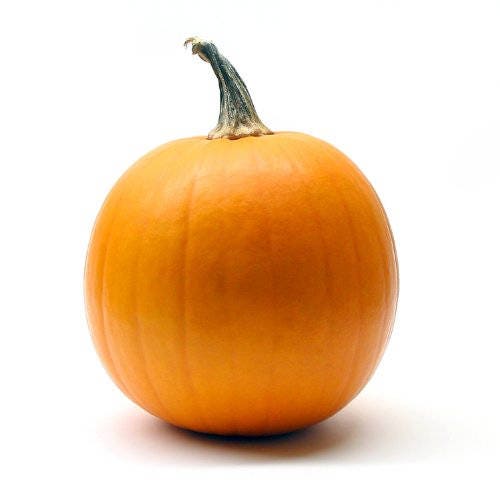 25 semillas de calabaza dorada mamut Cucurbita maxima para pastel tallado