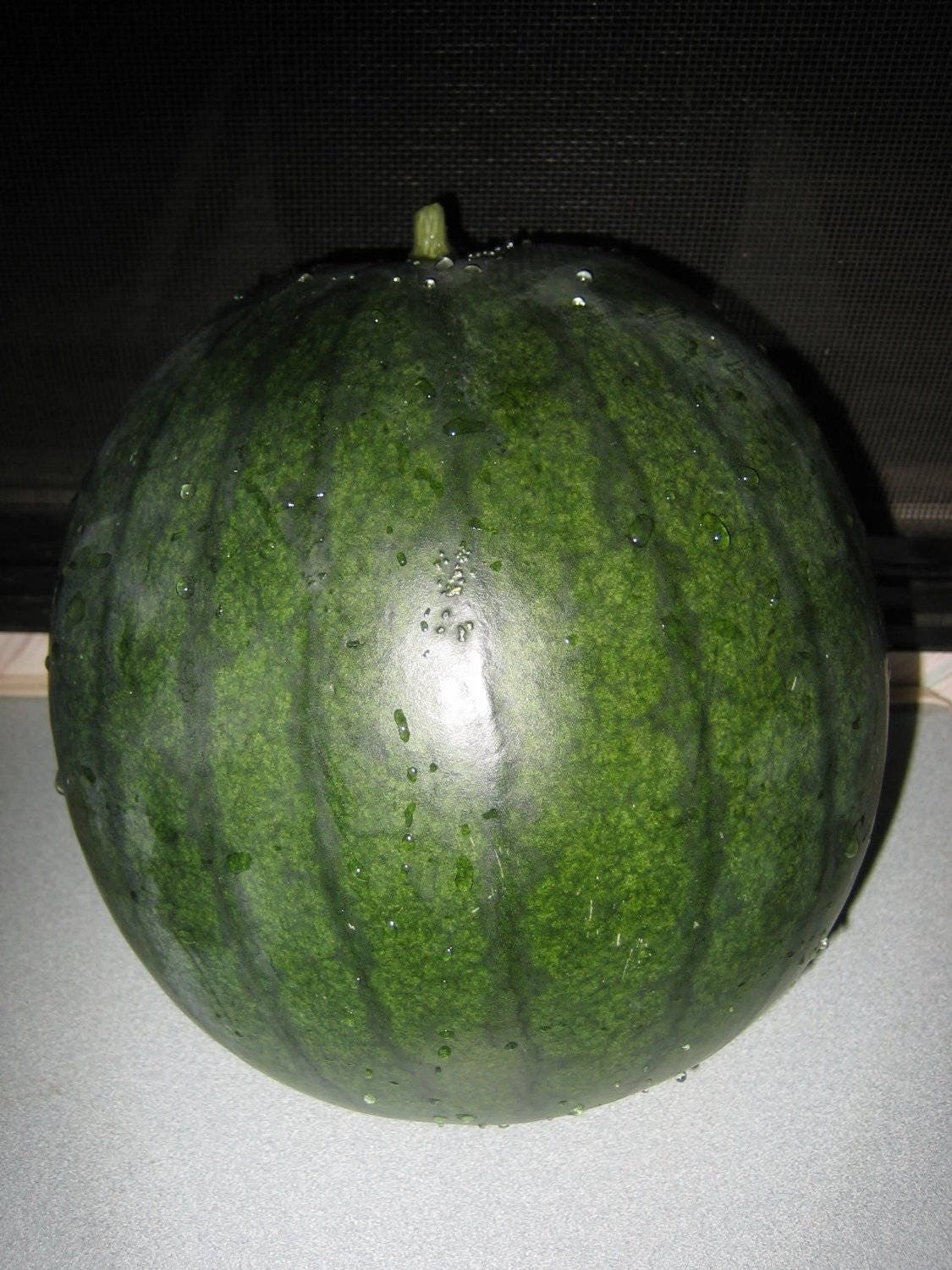 100 SANDÍA SUGAR BABY Semillas de melón de Citrullus lanatus