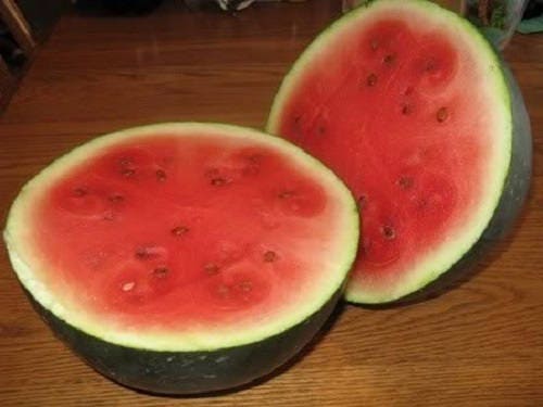 100 SANDÍA SUGAR BABY Semillas de melón de Citrullus lanatus