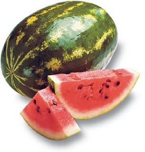 100 semillas de sandía dulce carmesí Citrullus lanatus