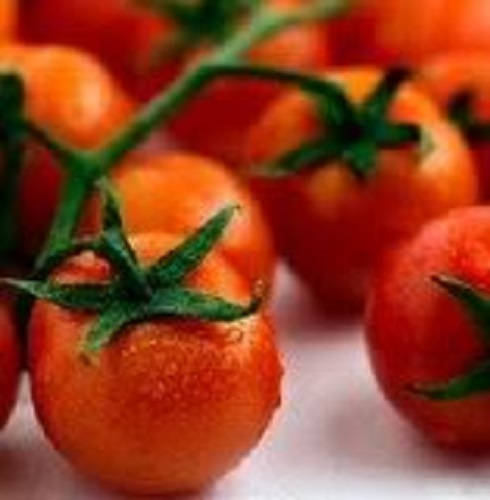 300 PEQUEÑAS SEMILLAS DE TOMATE CHERRY ROJO Lycopersicon Lycopersicum