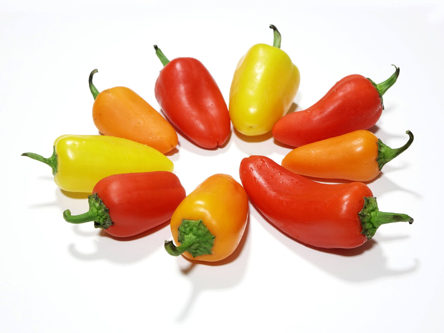 200 SANTA Fe GRANDE PEPPER (Chile Güero / Chile Amarillo Picante) Semillas de Hortalizas Capsicum Annuum
