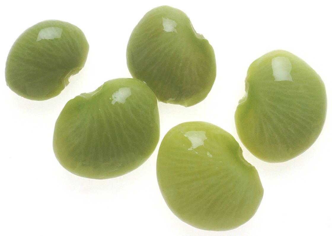 50 semillas de frijol lima baby Phaseolus Lunatus