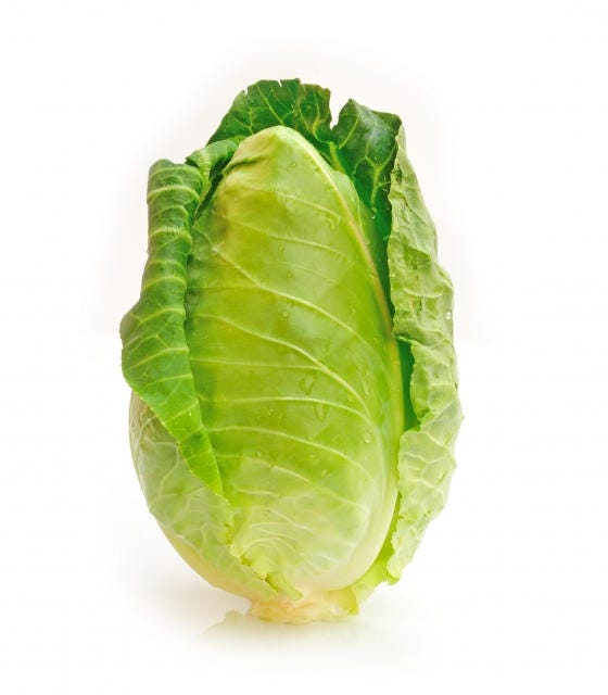 300 semillas de col Charleston Wakefield, tipo cono de Brassica oleracea