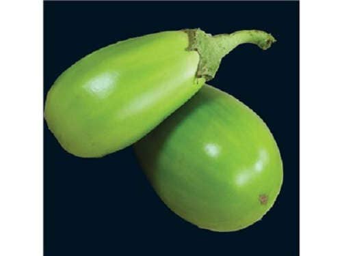 25 semillas de berenjena verde manzana (Solanum melongena)