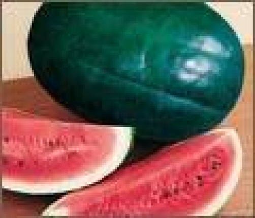 50 semillas de sandía gigante de Florida Cannon Ball Black Diamond Citrullus
