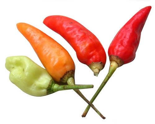 30 semillas de chile chiltepín (pimiento chiltepín) Capsicum Frutescens
