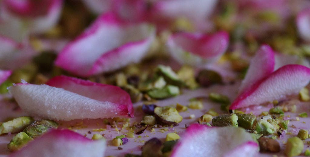 5 CARDAMON CARDAMOMO Elettaria Cardamomum HIERBA Flor Arbusto Árbol Semillas