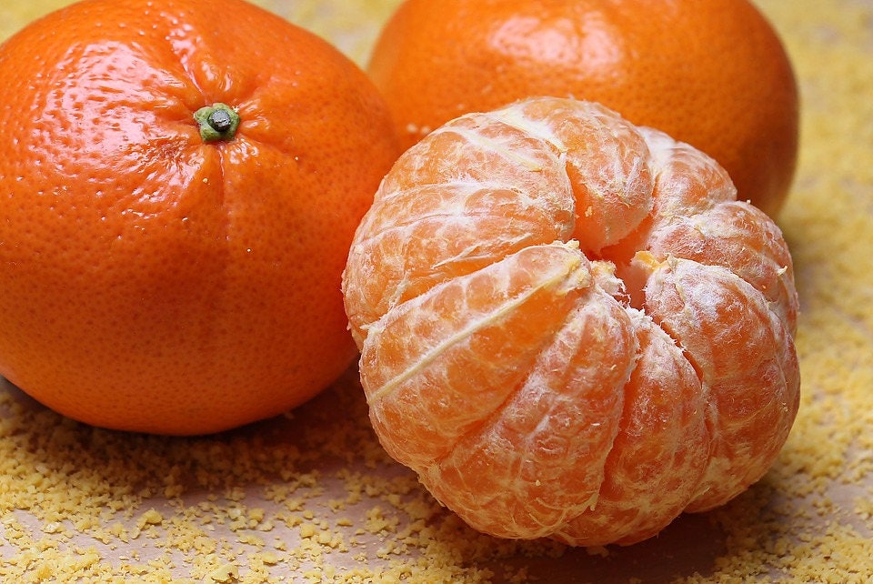 20 semillas de árbol frutal de mandarina (Citrus reticulata)