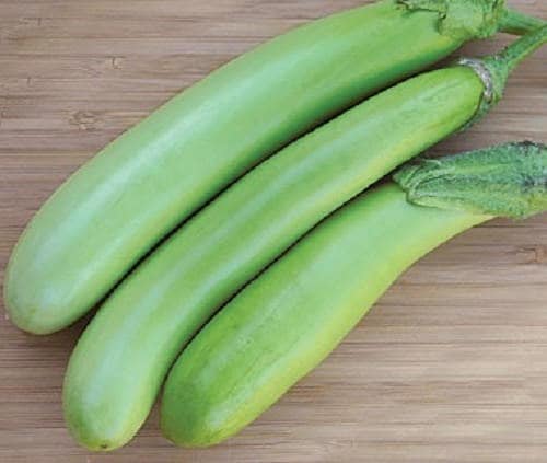 25 semillas de berenjena verde larga de Luisiana Solanum melongena