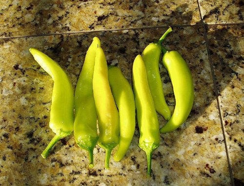 300 PIMIENTA HÚNGARA PICANTE (Pimiento banana picante) Semillas de hortalizas Capsicum Annuum