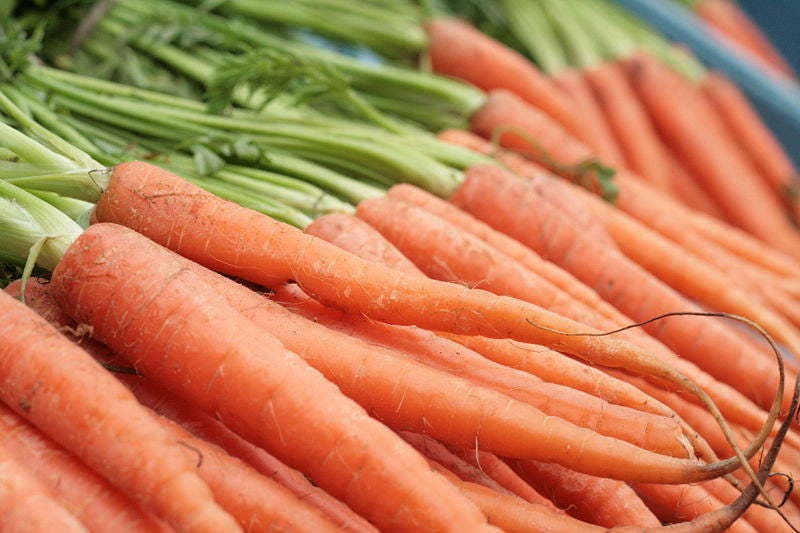 1500 SCARLET NANTES CARROT Daucus Carota Vegetable Seeds