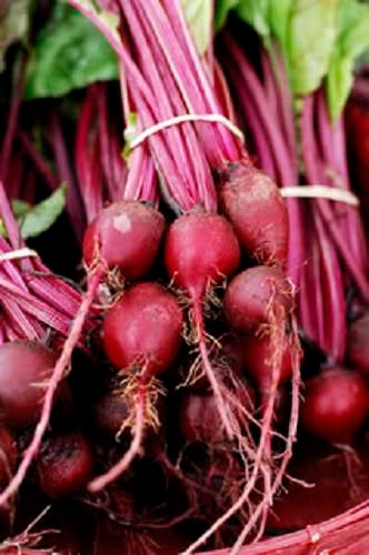 250 semillas de remolacha Beta Vulgaris EARLY WONDER