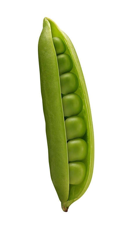 50 Super SUGAR SNAP PEA Pisum Sativum Macrocarpon Vegetable Seeds