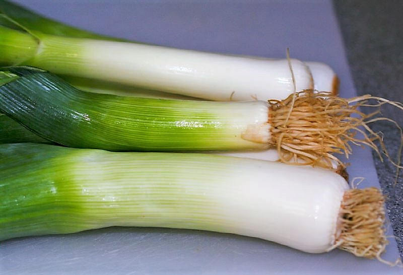 500 BROAD LONDON LEEK Allium Porrum Heirloom White & Green Vegetable Seeds