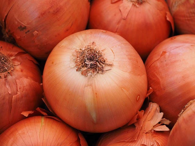 400 semillas de cebolla de grano temprana de Texas, semillas grandes de Allium Cepa amarilla dulce