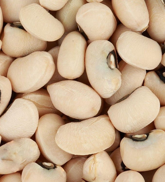 100 semillas de guisante de vaca crema de Texas, arbusto de guisante sureño Vigna Unguiculata