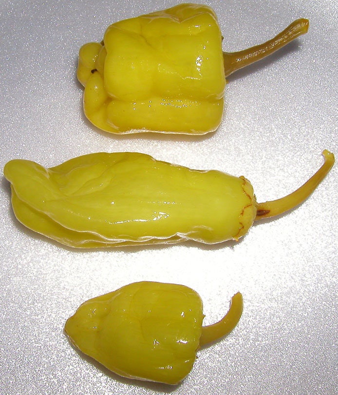 50 PIMIENTA DORADA GRIEGA Pepperoncini Semillas de Capsicum Annuum Amarillo Dorado