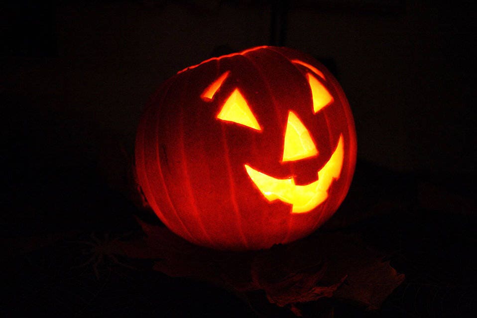 50 SPOOKIE PUMPKIN también conocido como Deep Sugar Pie Calabaza Cucurbita Pepo Semillas Vegetales
