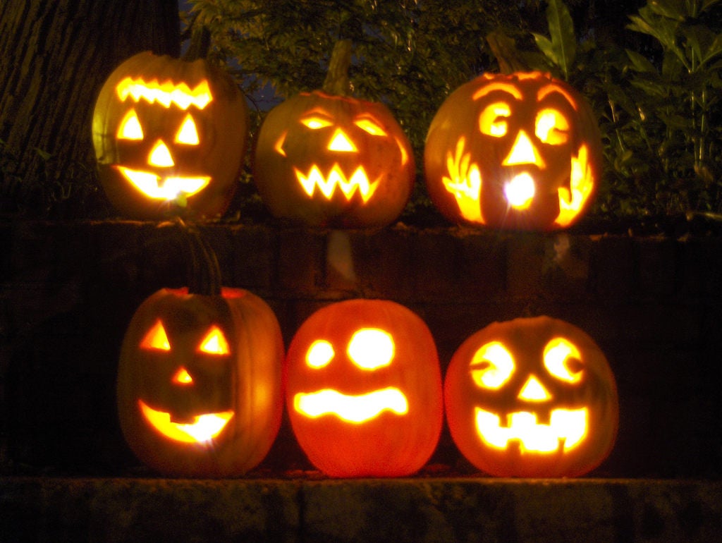 50 SPOOKIE PUMPKIN también conocido como Deep Sugar Pie Calabaza Cucurbita Pepo Semillas Vegetales