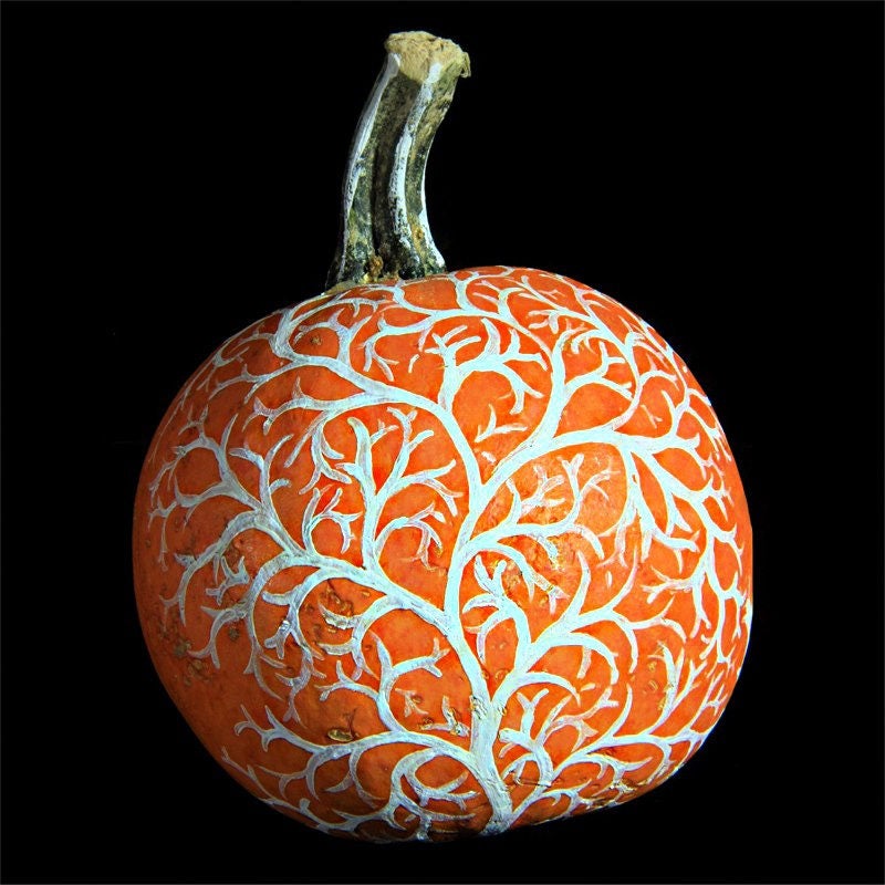 50 SPOOKIE PUMPKIN también conocido como Deep Sugar Pie Calabaza Cucurbita Pepo Semillas Vegetales