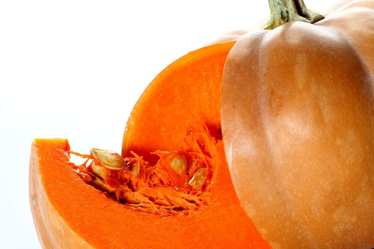 40 CALABAZAS DE AZÚCAR PEQUEÑAS Semillas de hortalizas Cucurbita Pepo para pastel de naranja o tallar