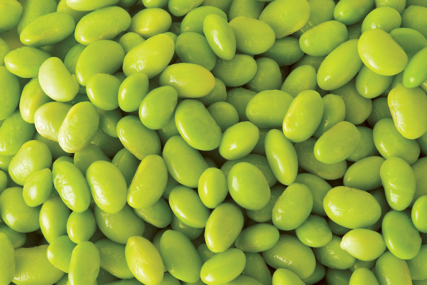 20 semillas de soja Edamame Green ENVY SOYBEAN Glycine Max