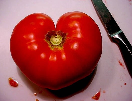 200 TOMATE PONDEROSA ROSADO Semillas de hortalizas de fruta Lycopersicon de Henderson