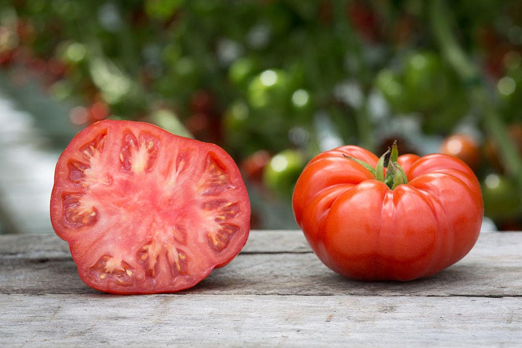 200 TOMATE PONDEROSA ROSADO Semillas de hortalizas de fruta Lycopersicon de Henderson