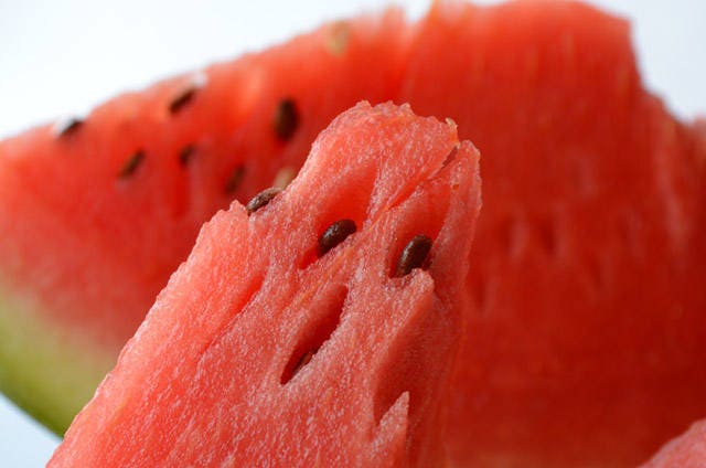 50 semillas de melón Charleston Gray Sandía Citrullus Lanatus Frutos Rojos