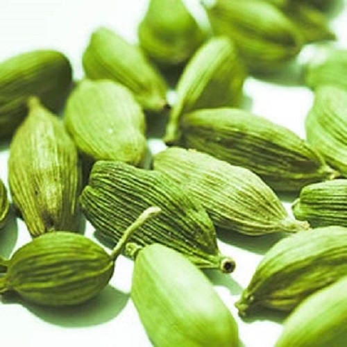 5 CARDAMON CARDAMOMO Elettaria Cardamomum HIERBA Flor Arbusto Árbol Semillas