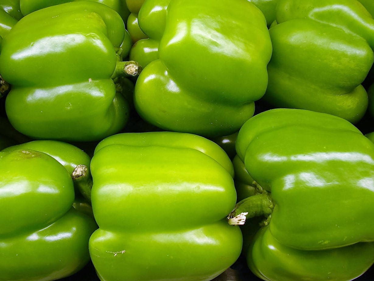200 semillas de pimiento morrón verde grande, Capsicum annuum dulce