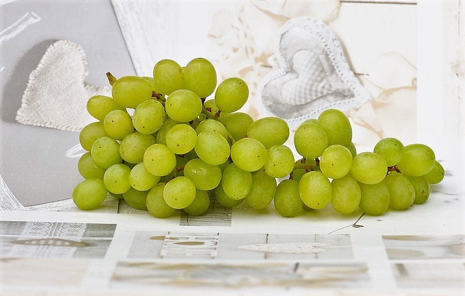 50 semillas de uva verde (postre/mesa) Vitis vinifera