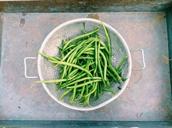 50 SLENDERETTE GREEN BEAN French Stringless Phaseolus Vulgaris Vegetable Seeds