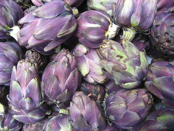 50 semillas de alcachofa morada de Romaña, Cynara scolymus italiana, flores y hortalizas