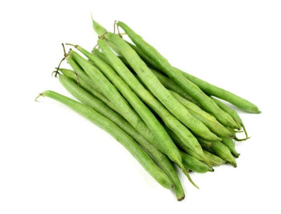 50 semillas de frijol verde sin hilos Burpee, Phaseolus vulgaris francés