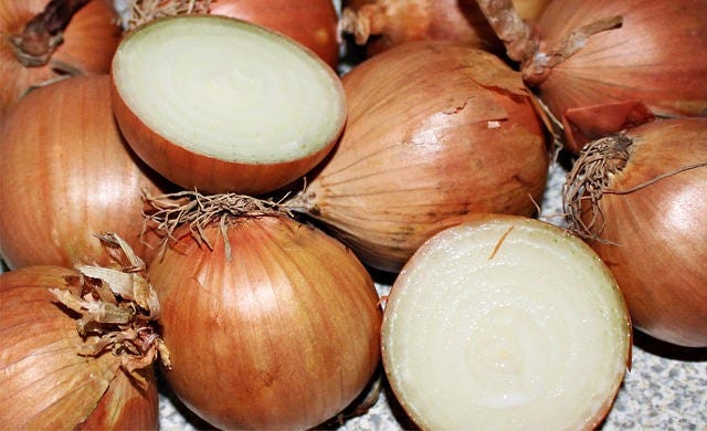 400 semillas de cebolla de grano temprana de Texas, semillas grandes de Allium Cepa amarilla dulce