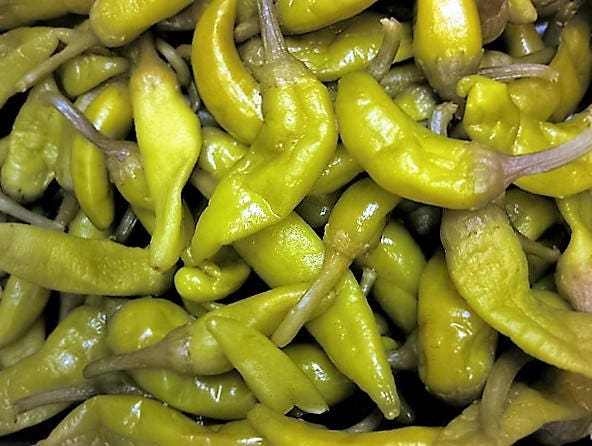 50 PIMIENTA DORADA GRIEGA Pepperoncini Semillas de Capsicum Annuum Amarillo Dorado