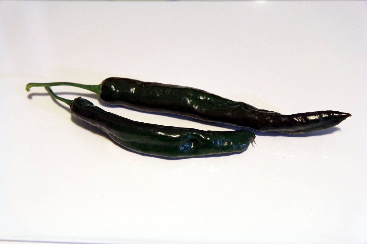 50 Semillas Vegetales PASILLA BAJIO PEPPER Chile Mexicano Negro Capsicum Annuum