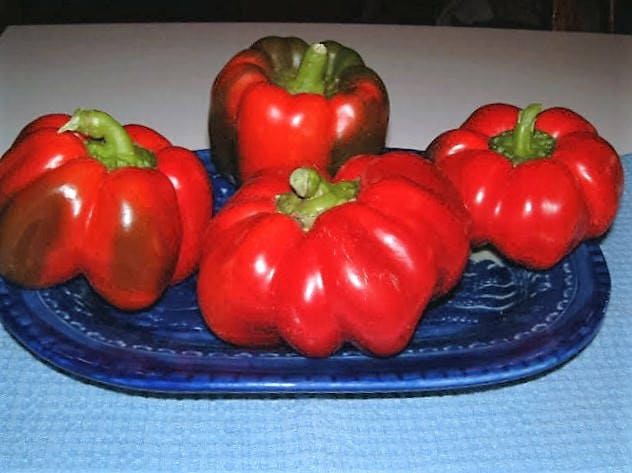 50 PIMIENTOS PIMIENTOS ORGÁNICOS PIMIENTO ROJO QUESO PIMIENTO ROJO DULCE Semillas de Capsicum Annuum